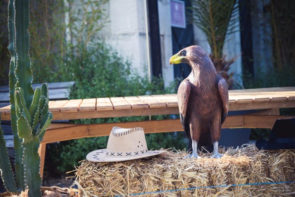 Soirée d’été du Jeune barreau4.07.2025, photographe Andrey ART (18)