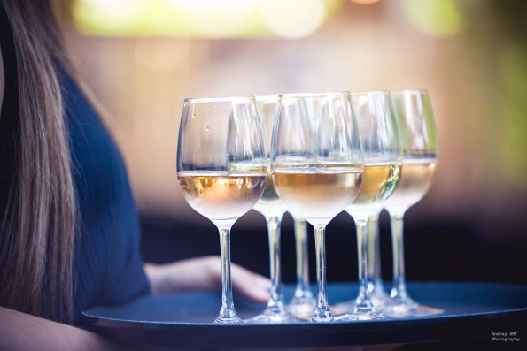 Soirée d’été du Jeune barreau4.07.2025, photographe Andrey ART (60)