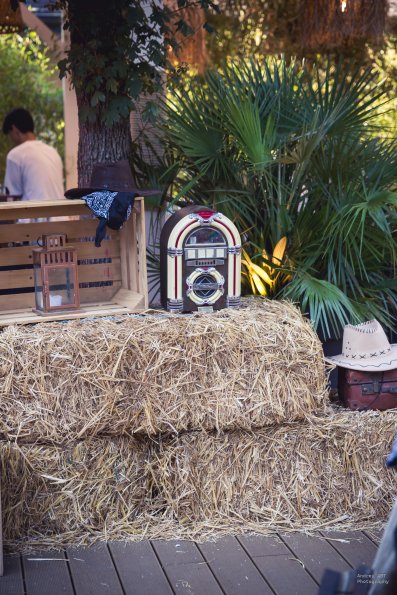 Soirée d’été du Jeune barreau4.07.2025, photographe Andrey ART (7)